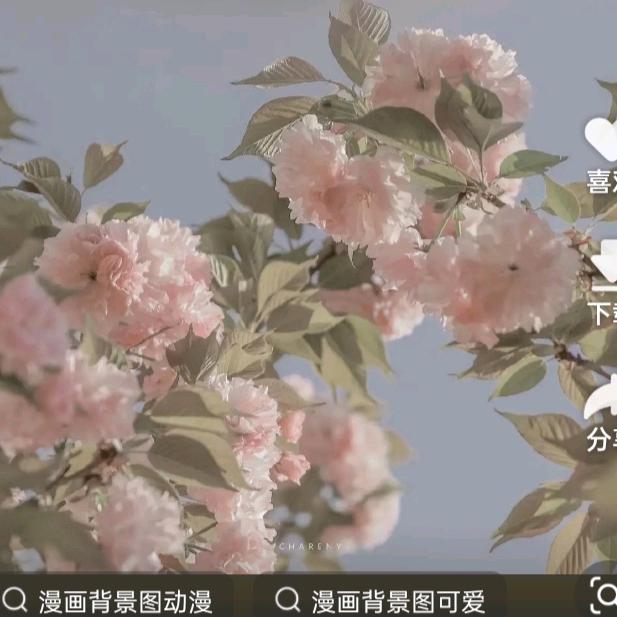 温柔的陷阱