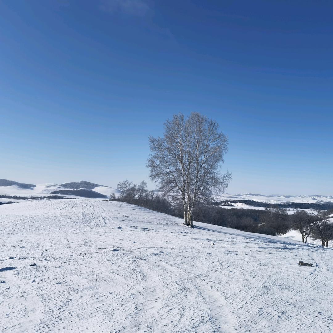 标爵汽车脚垫卷材厂