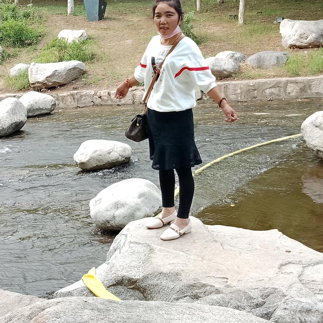 向往未来🐬