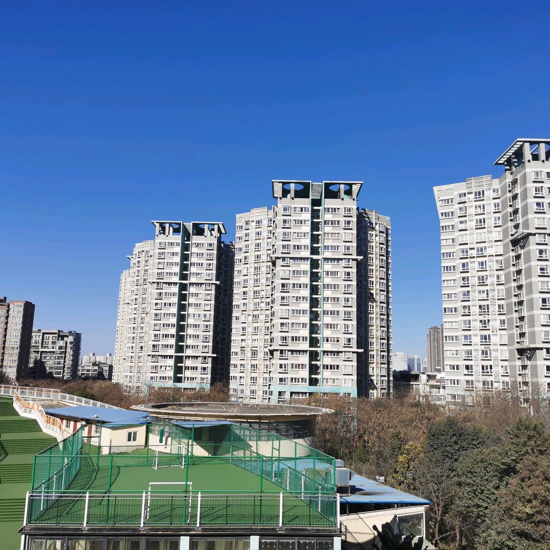 小杨哥的哥哥gg