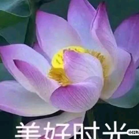 幸福一家