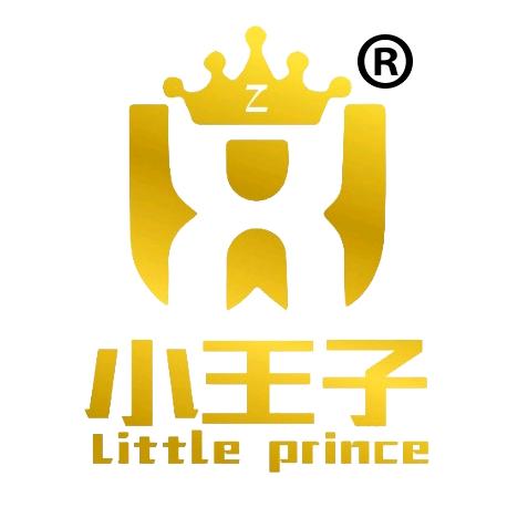 苏州小王子汽车内饰改装