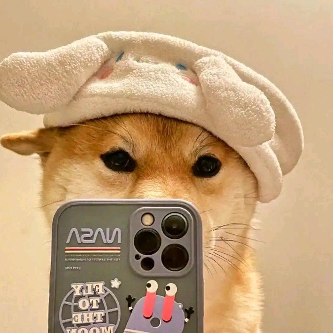 坚