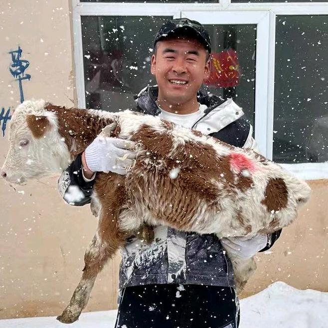 张北大宏牧业