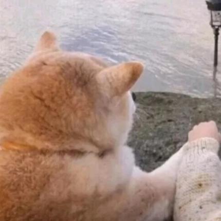 在非洲的刘易斯