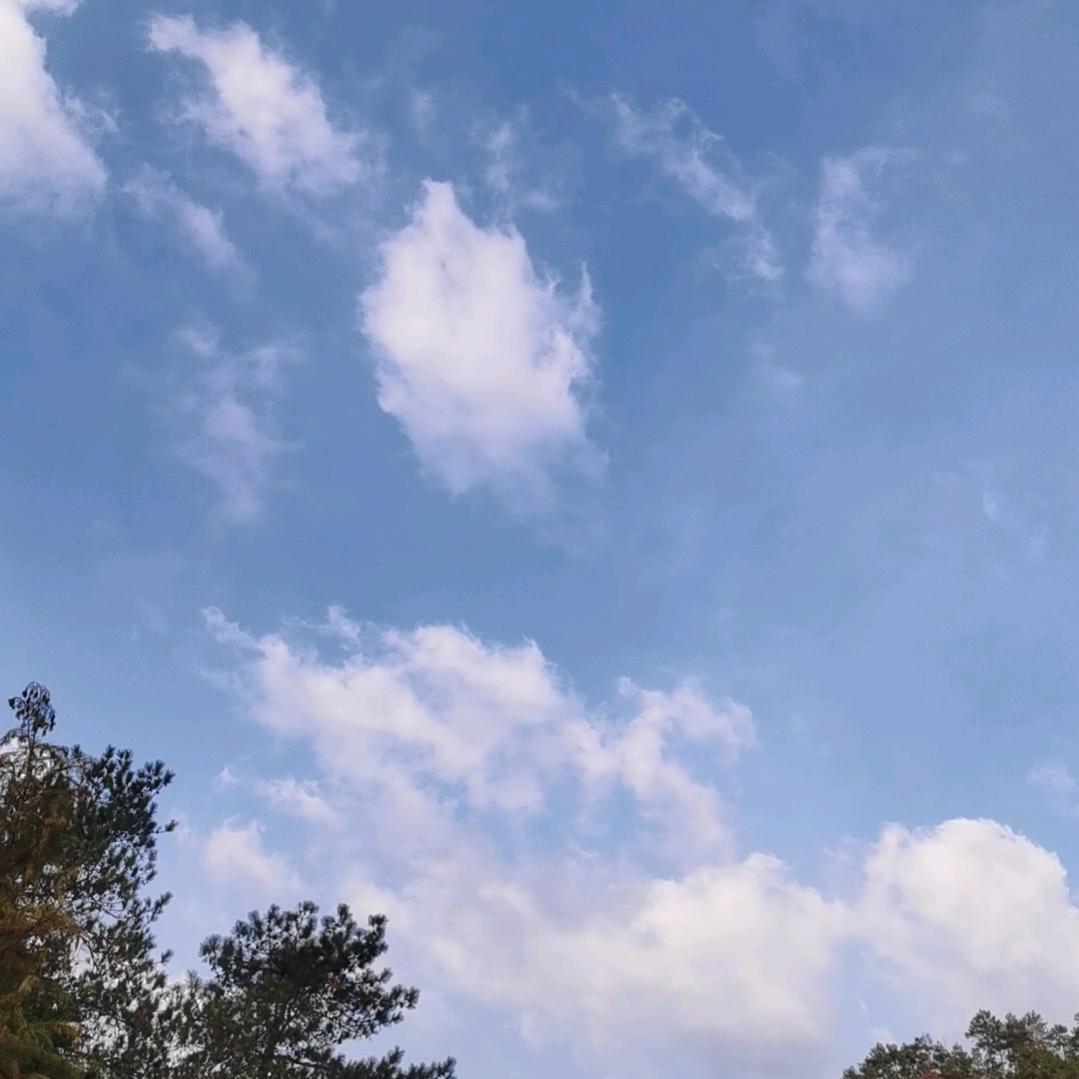 🦋浅笑不语༊