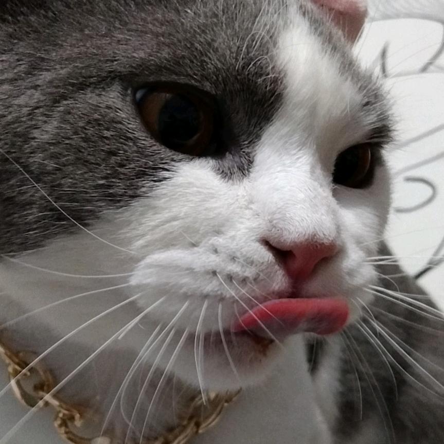 放下屠刀，立地成佛