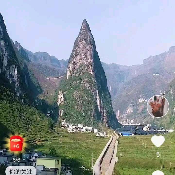 真心喂狗了