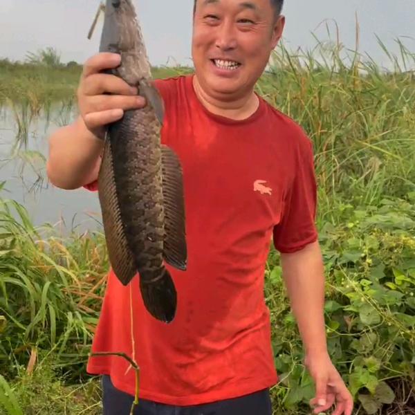 丁文扣