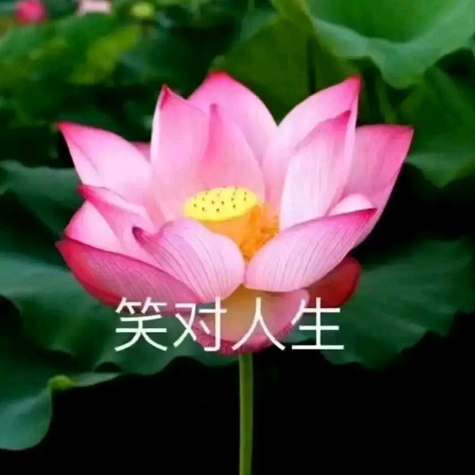 @家和万事兴y