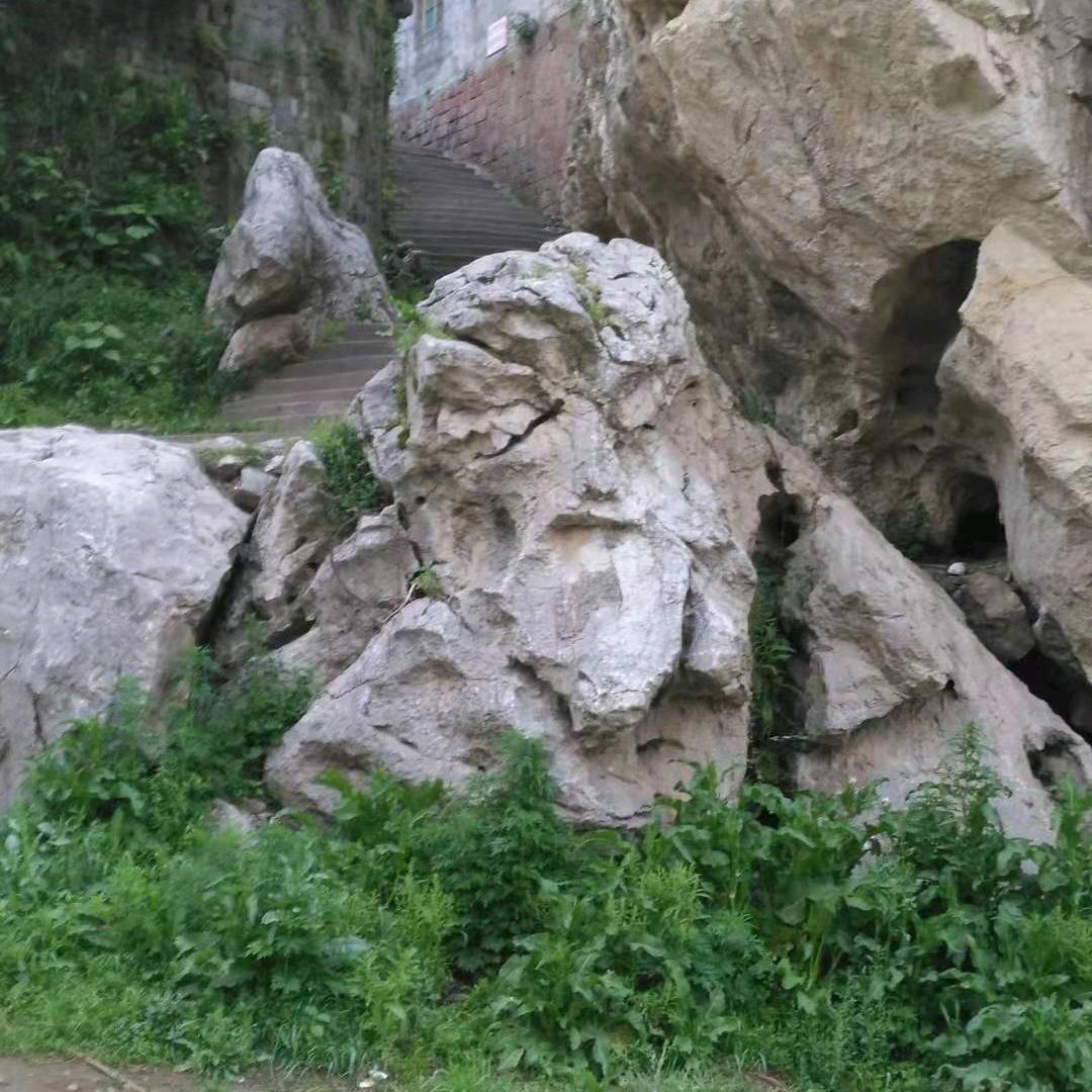 毛哥