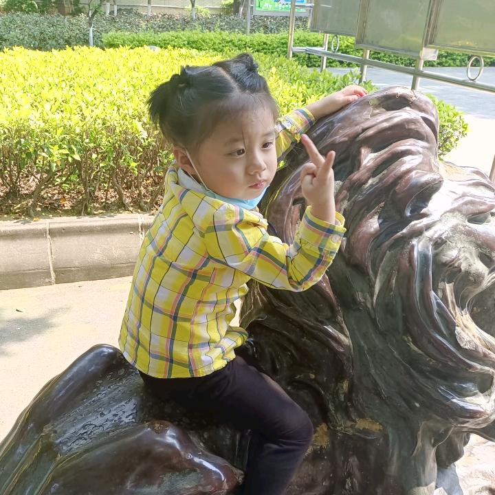 春联红