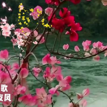 大展鸿图Q