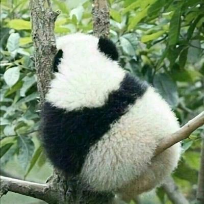阿運