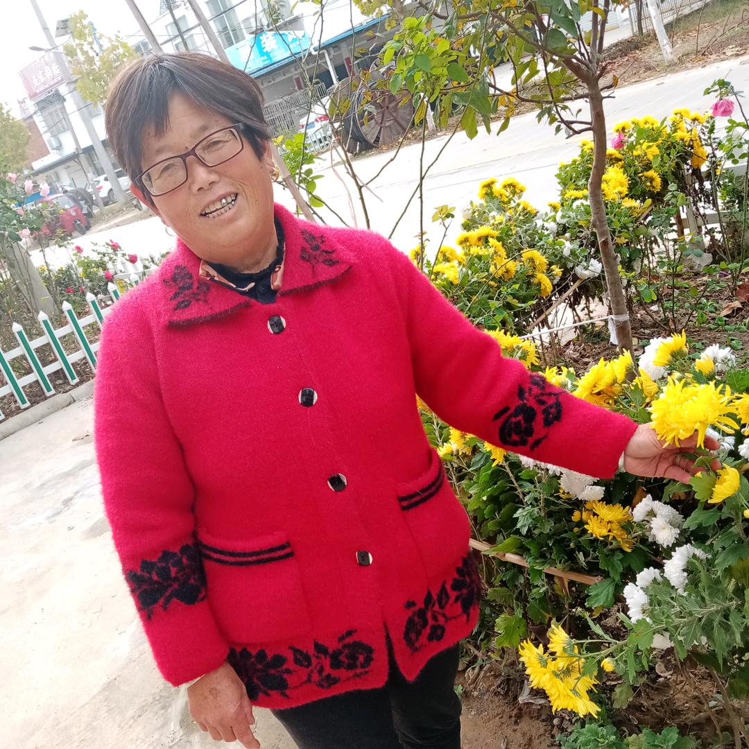 金枝玉叶