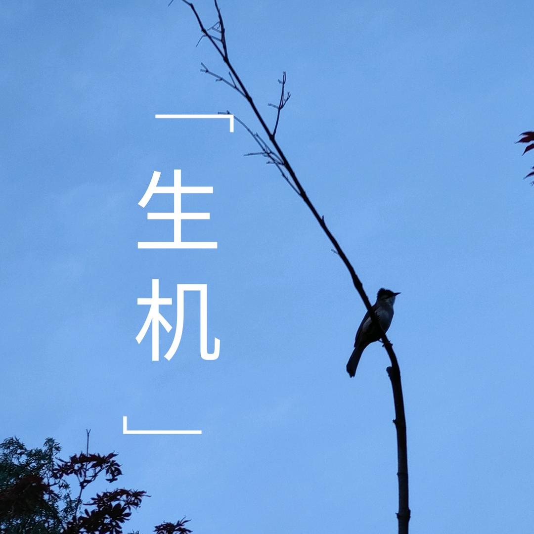 走走停停奏奏