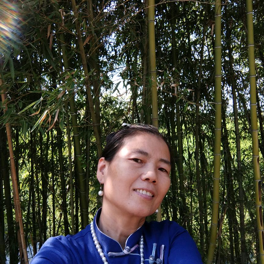 春光灿烂