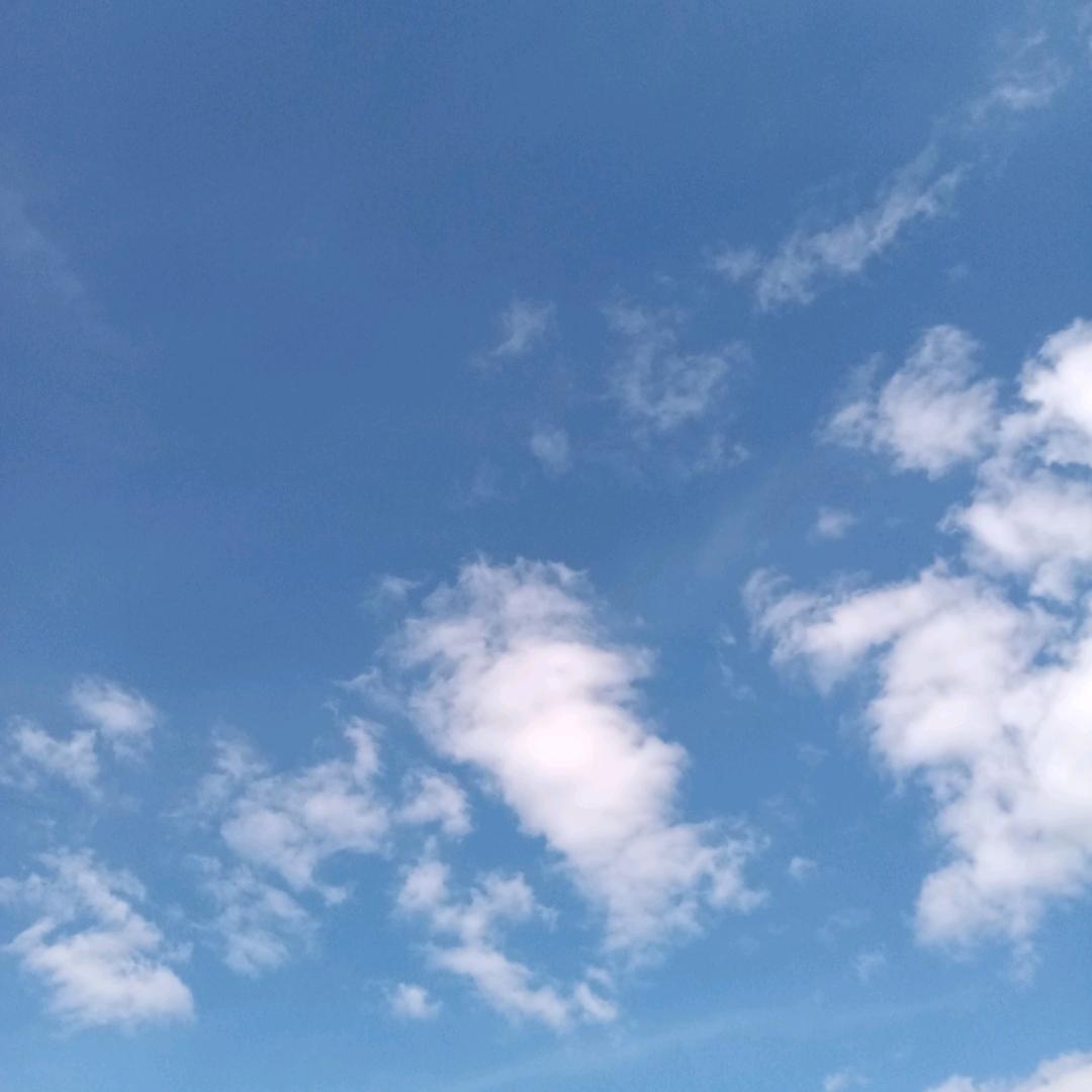 晴朗读书