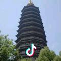 金健