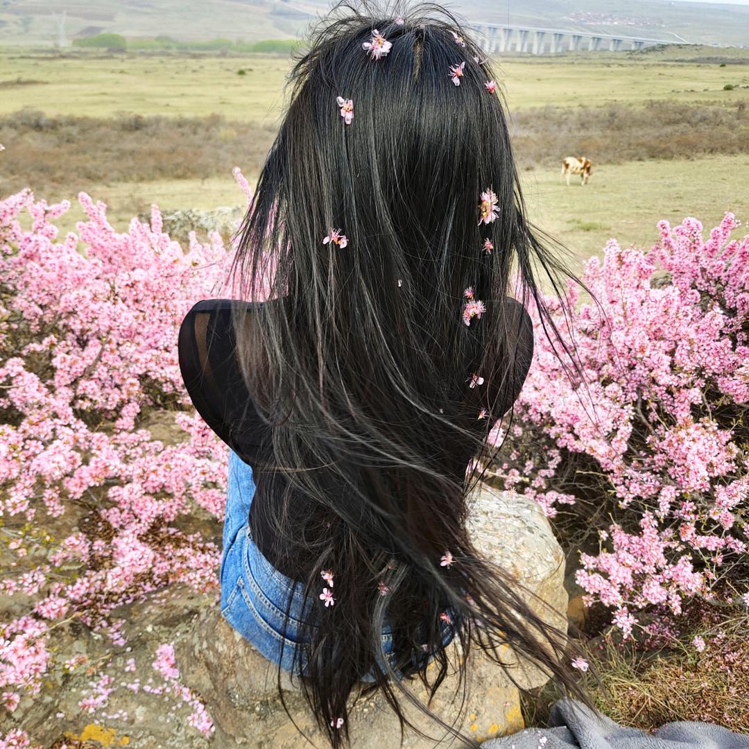 薇