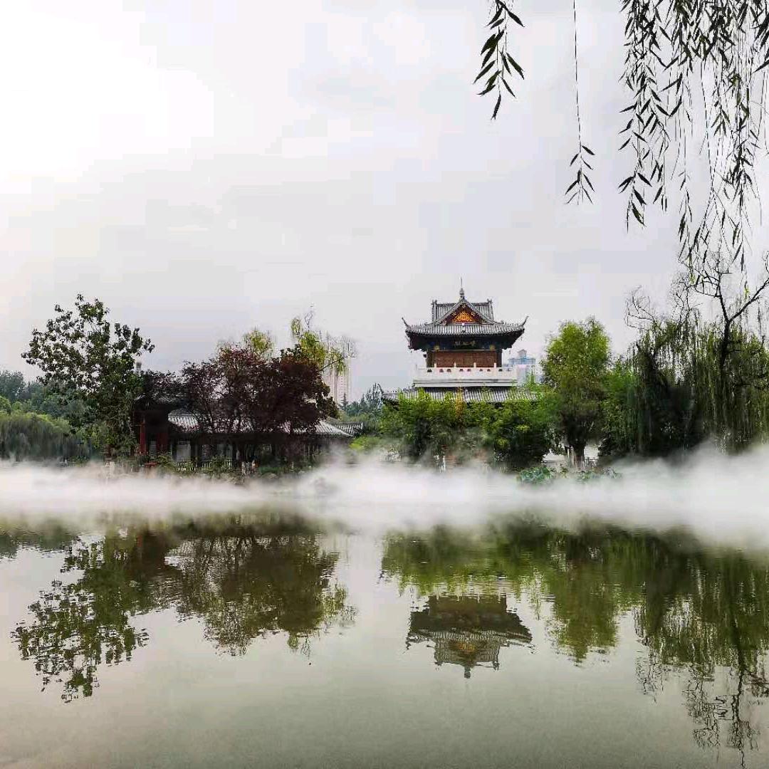 红茶