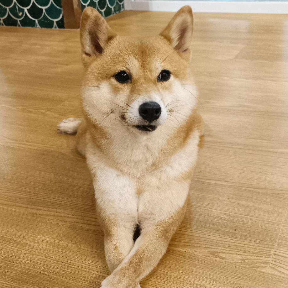 十分念心