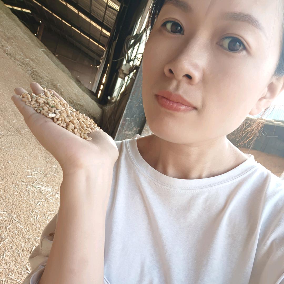 东明刘楼收粮点（原德弘学校对过）