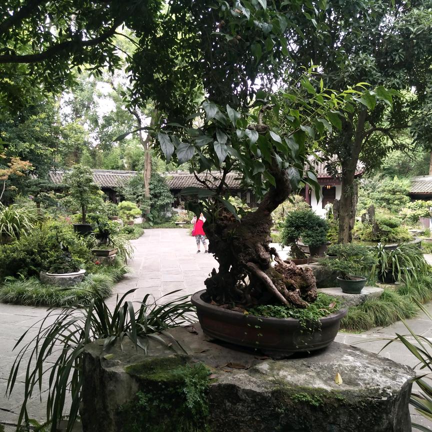 卖烧烤