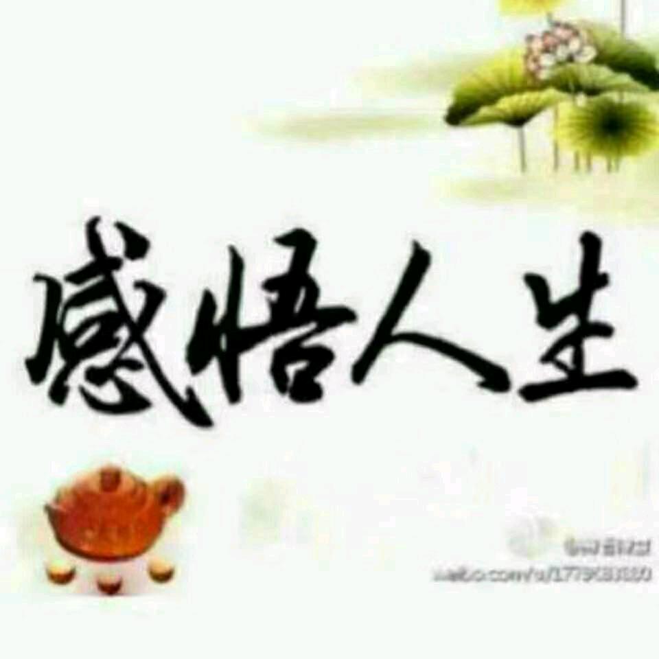 有缘看到你