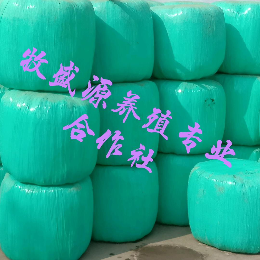 牧盛源养殖专业合作社