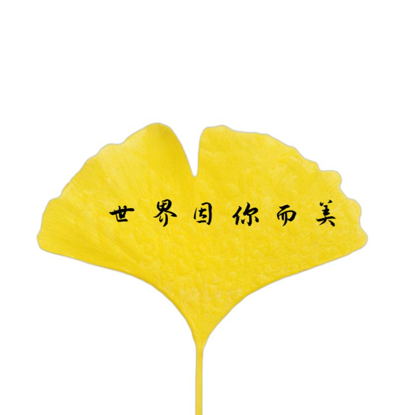 微观风景