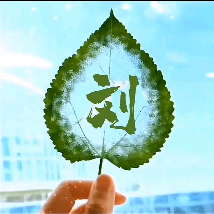 什么情况