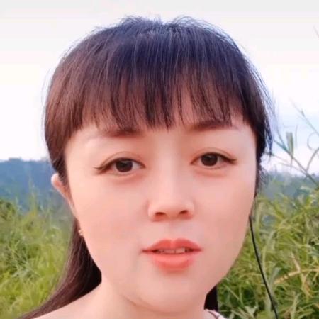 凤