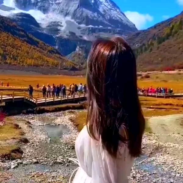 这么多大的惠庆宫头像
