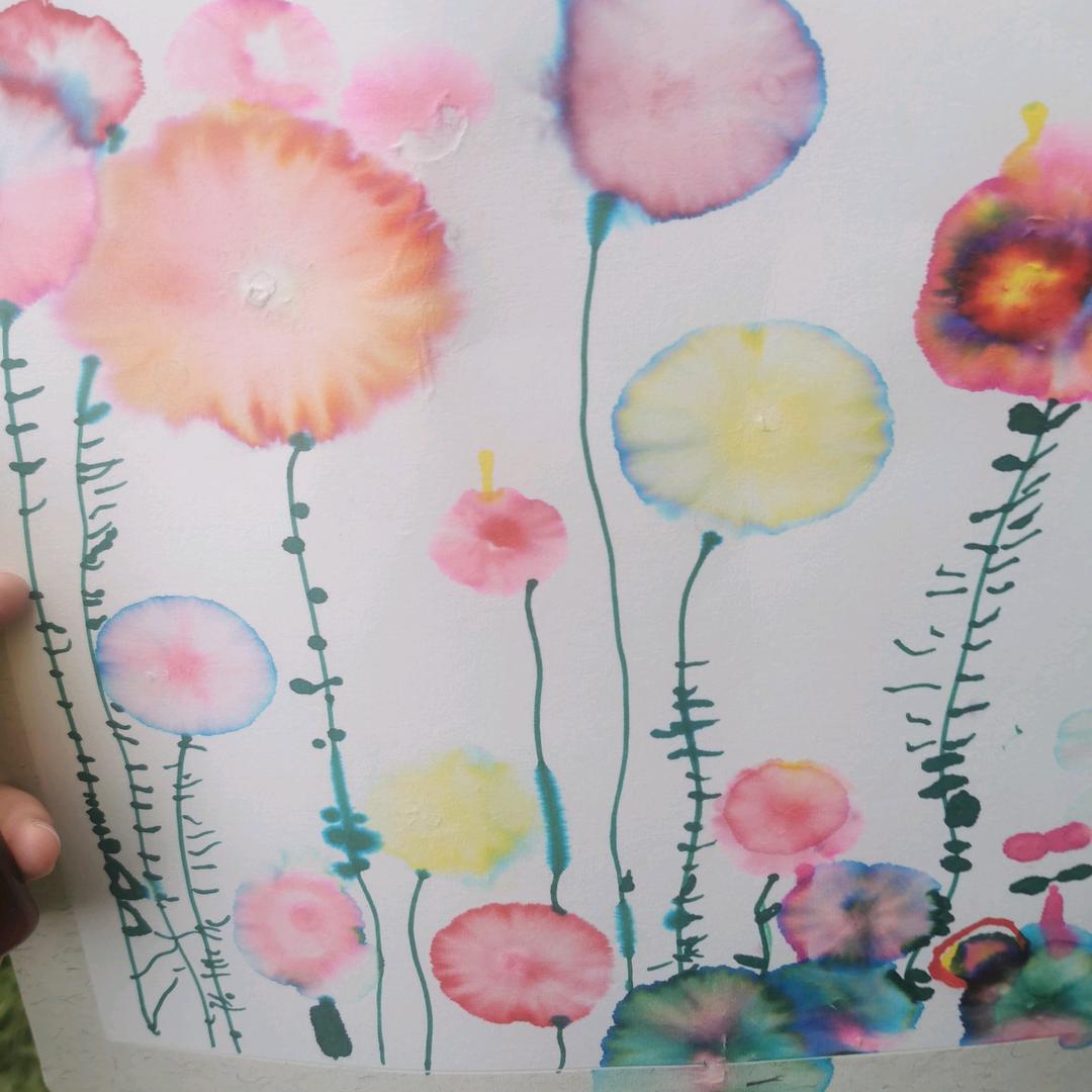 🌸简🌸