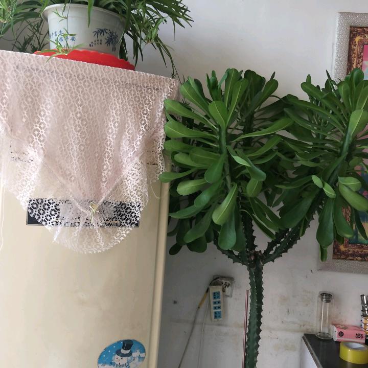 承诺