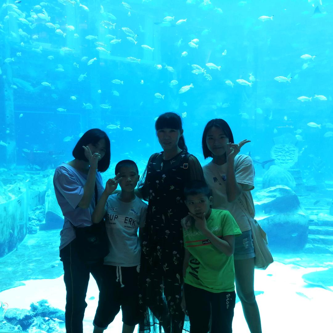 四宝妈私房蛋糕优选