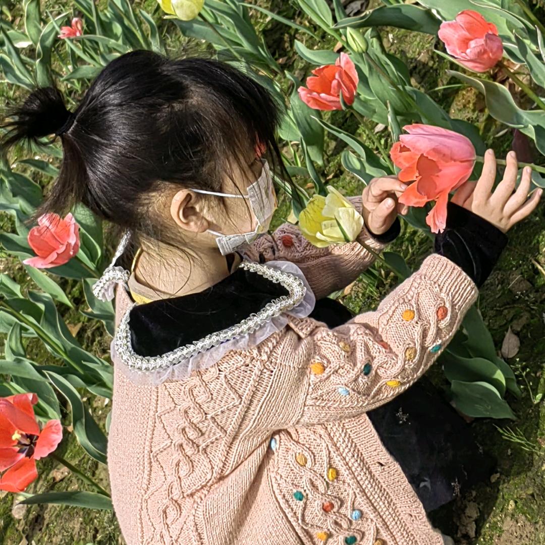 落叶飘零
