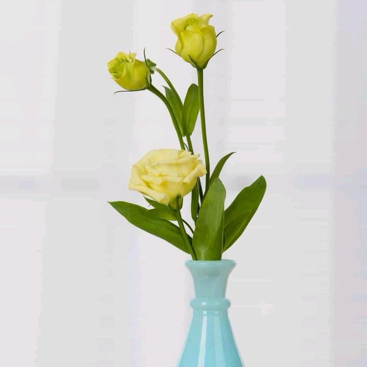 丹