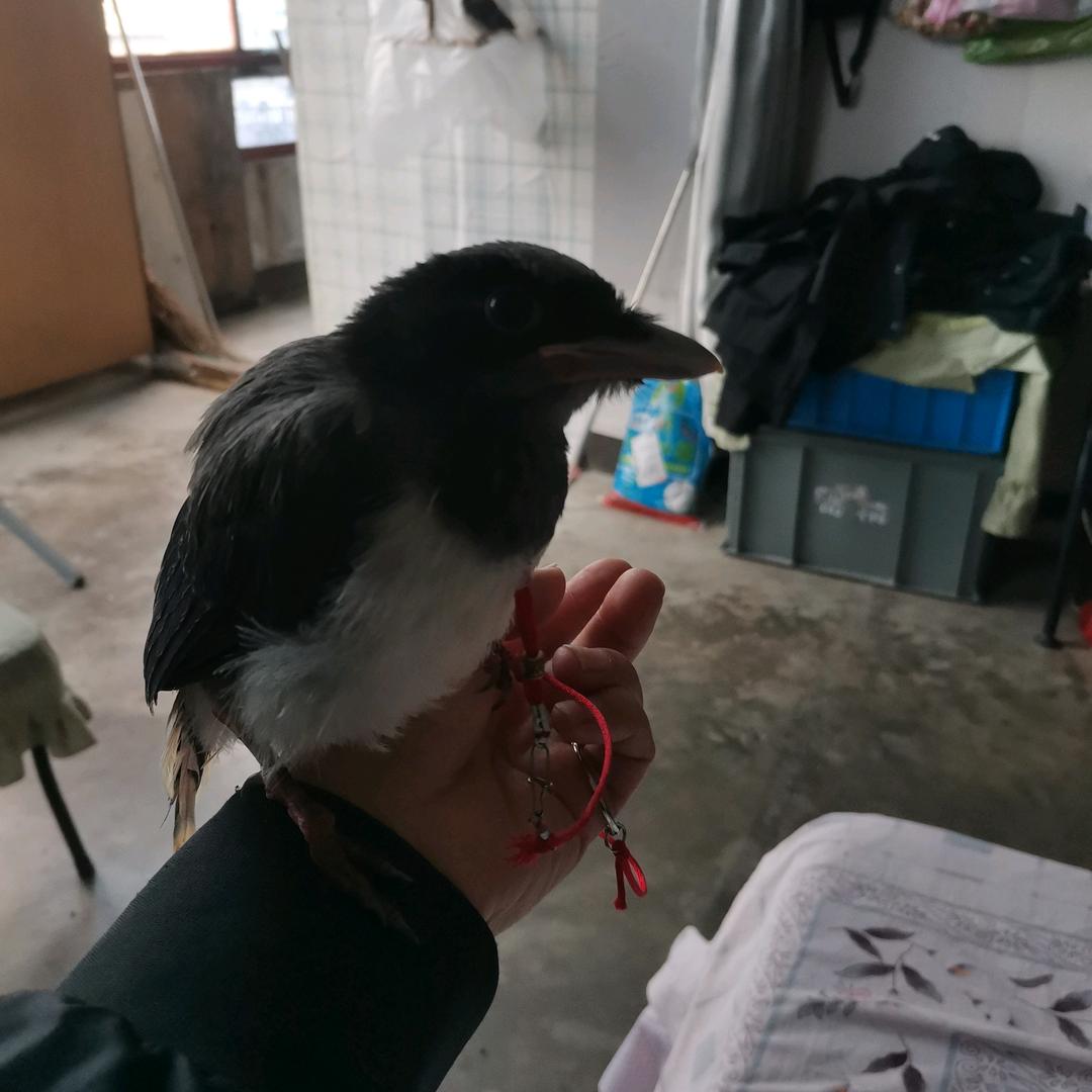 往事如烟～