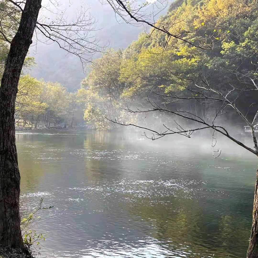 代艳