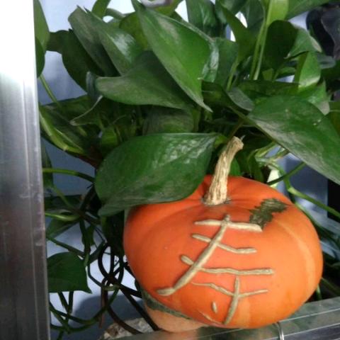 超级彩魚中8十1之王