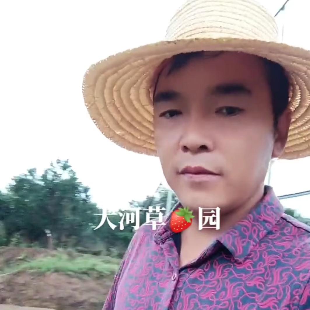 🇨🇳大河🍓草莓园🍓