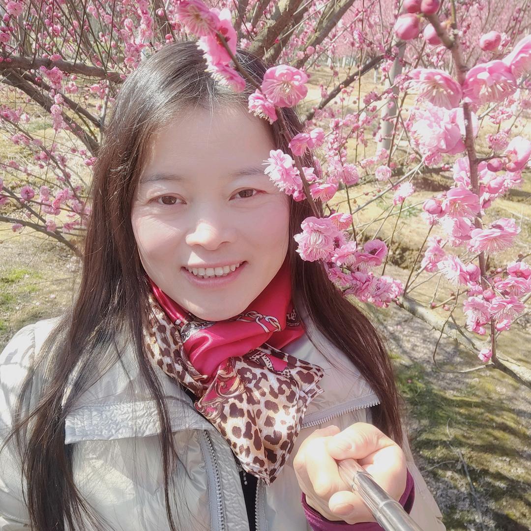 清荷窗帘（超慢跑下午12:50开播）