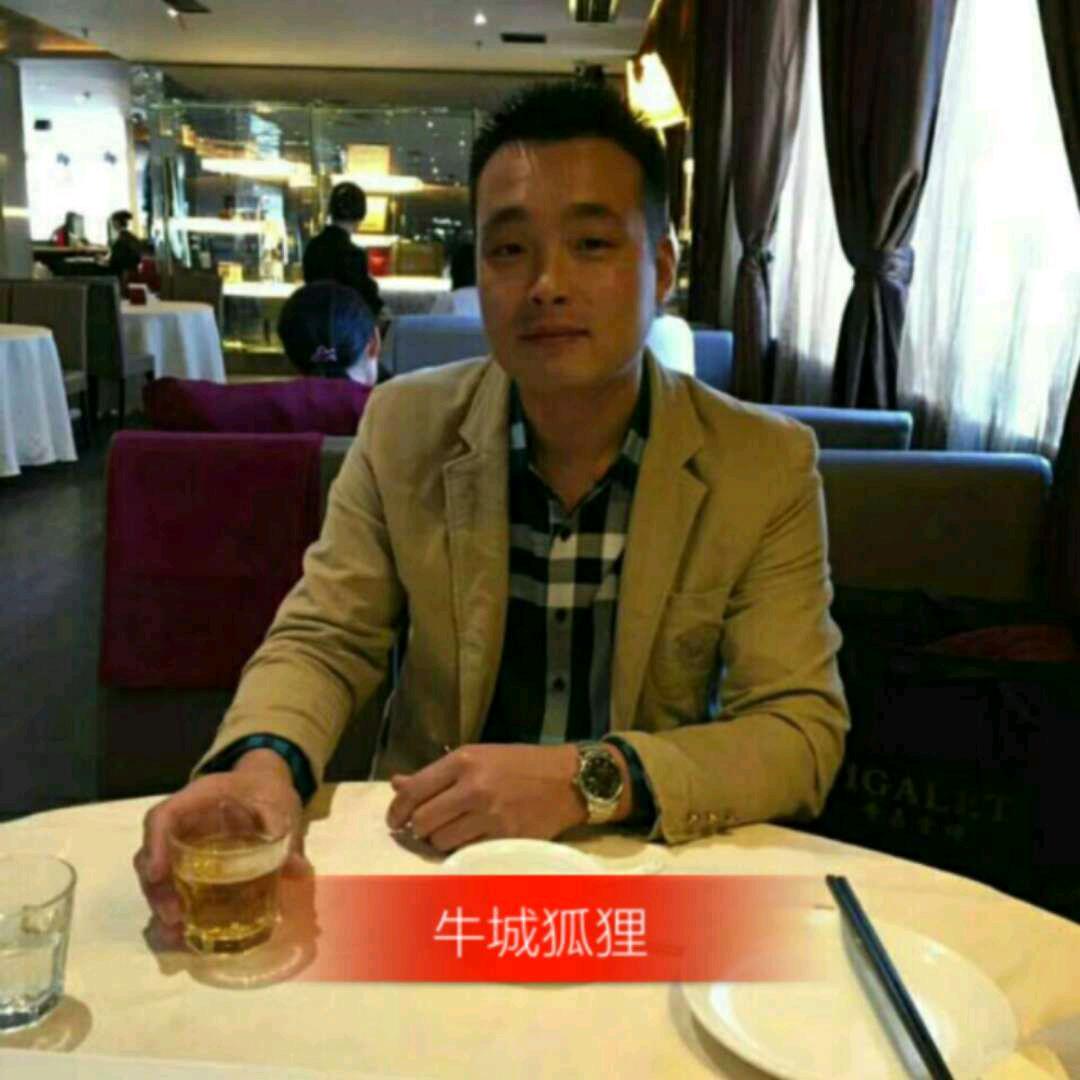 牛城狐狸