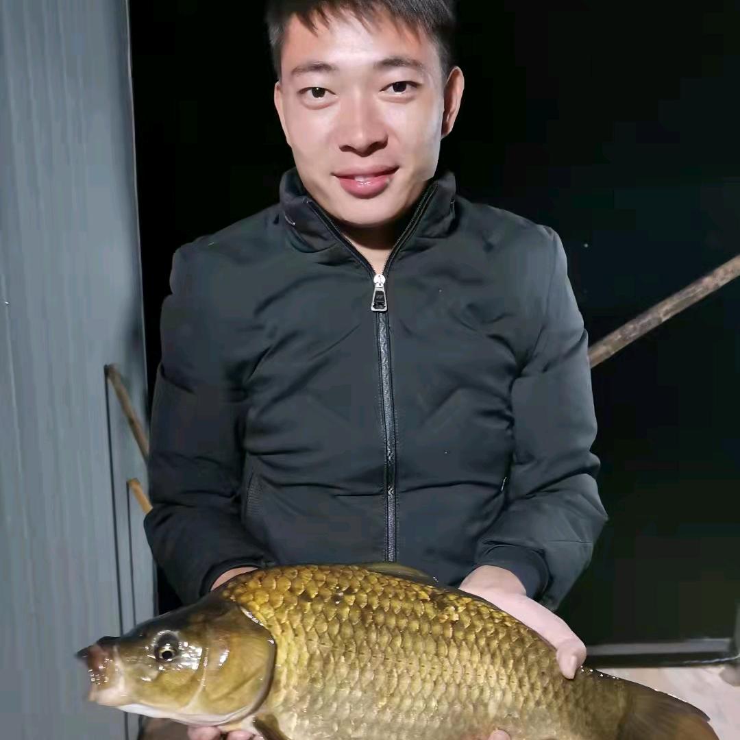 老沐钓鱼
