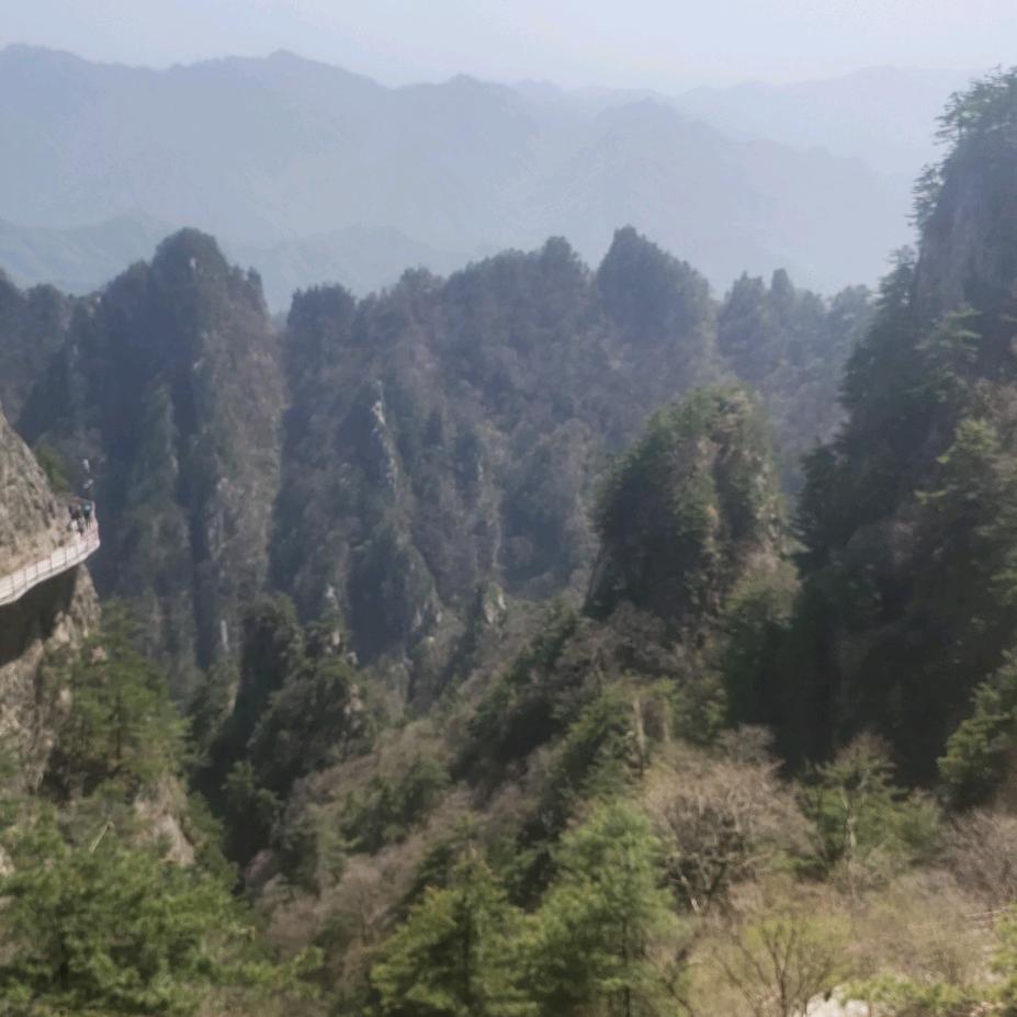 望想未来