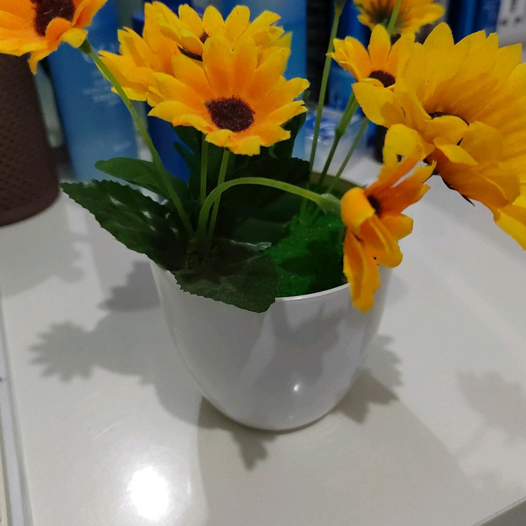 幸福的太阳