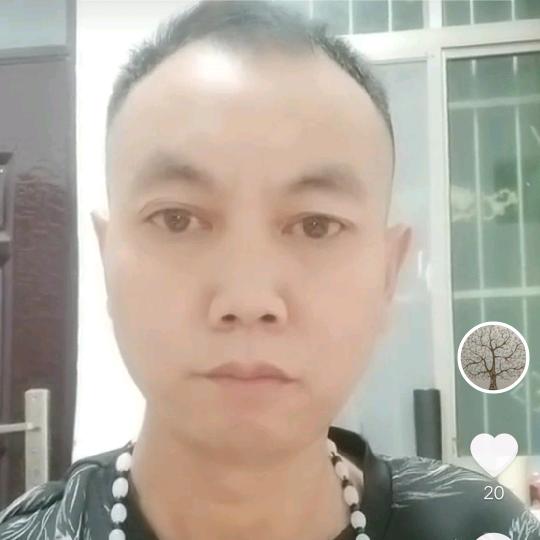 心有凌犀