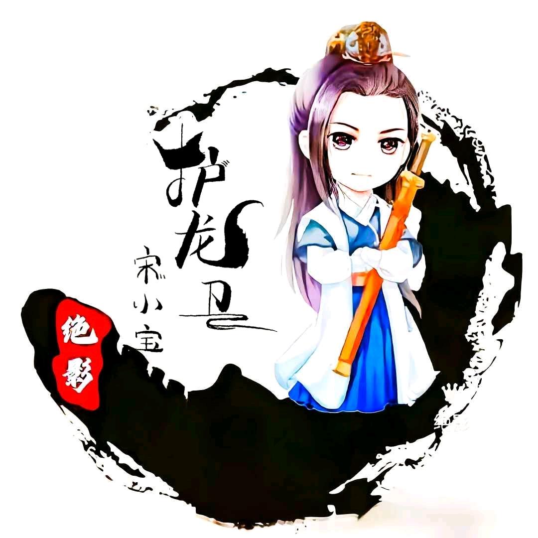 铜仁宋小宝